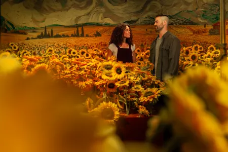 New sunflower Roomn
