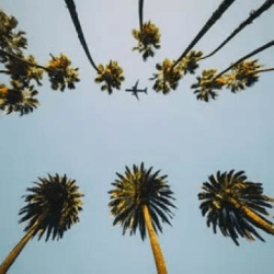 Los Angeles - Los Angeles