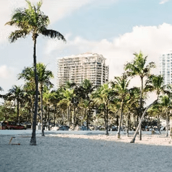 Miami city - Miami