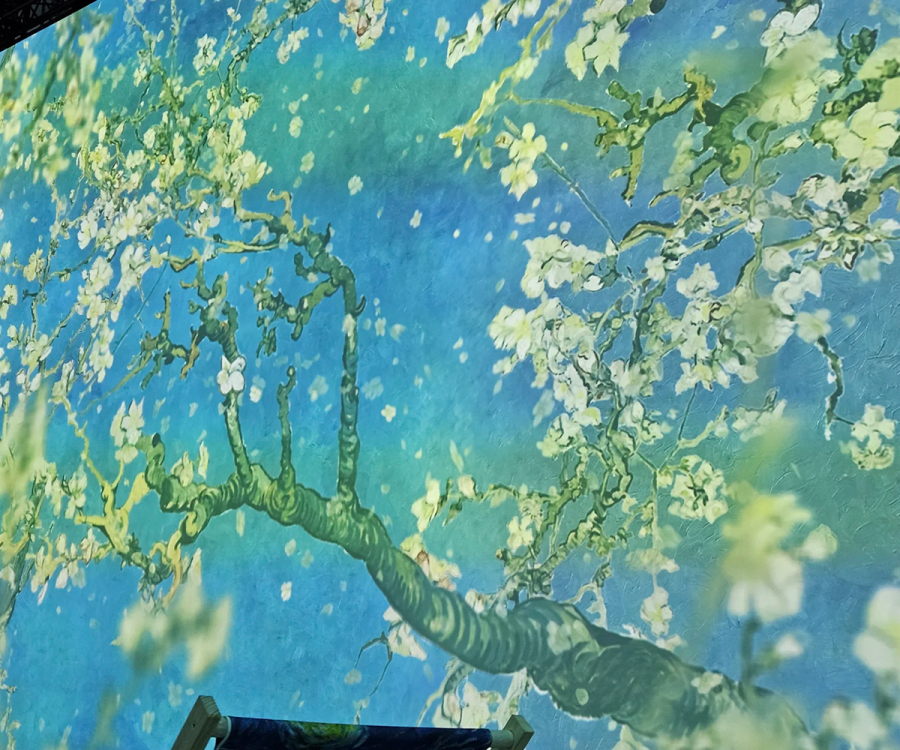 Almond Blossoms